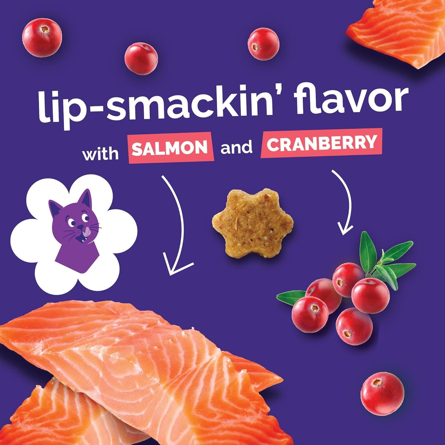 Cat Treats, Healthy Treats for Cats, Low Calorie and Packed with Protein, Crunchy Biscuits, No Wheat, Corn or Soy, Made with Real Salmon and Cranberry, 2.5Oz