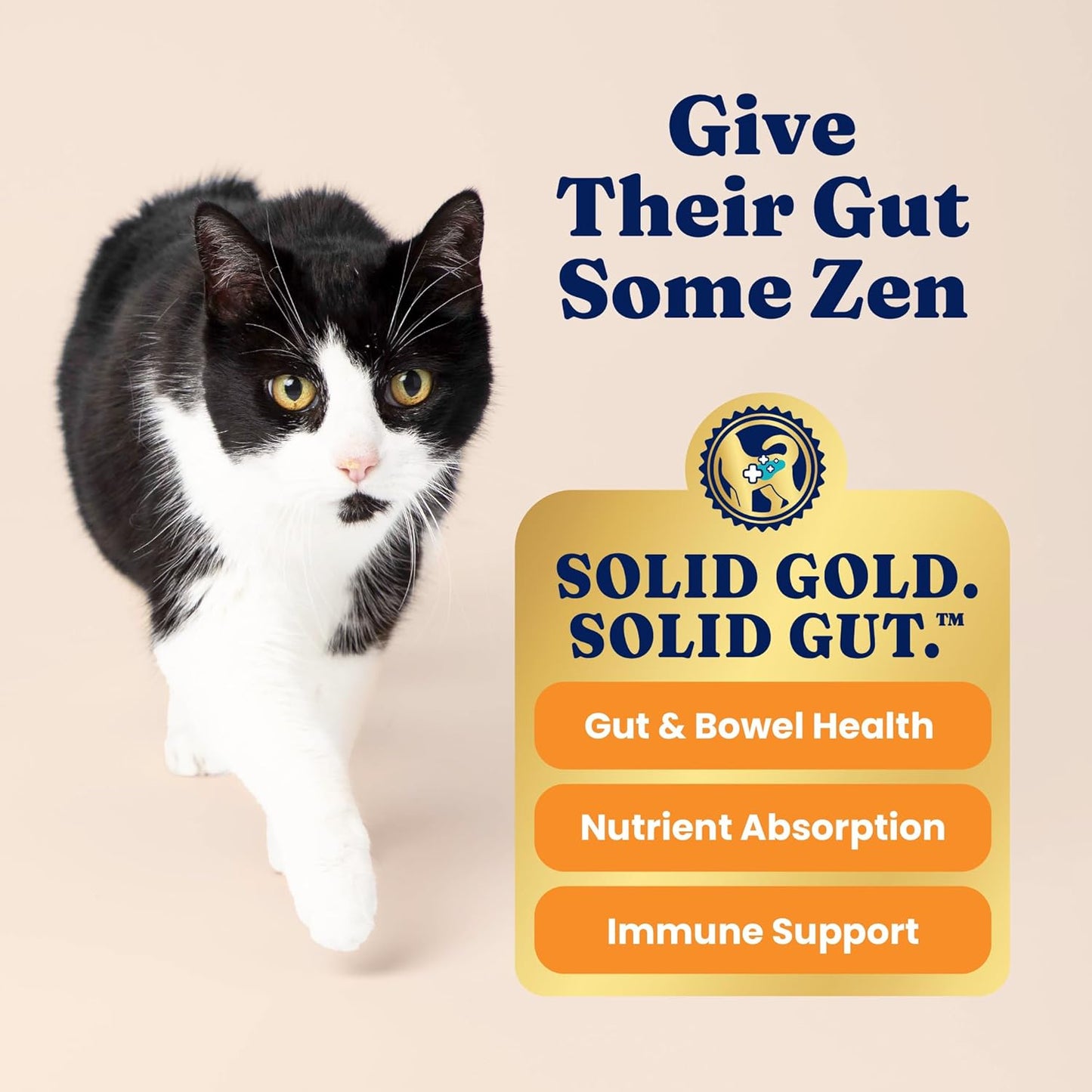 Indoor Dry Cat Food - Grain Free & Gluten Free - Chicken Cat Food Dry Kibble for Indoor Cats for Gut Health - Sensitive Stomach & Hairball Support for Adult Cats - 12LB
